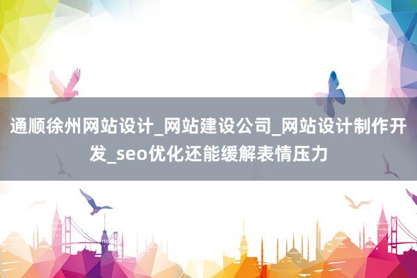通顺徐州网站设计_网站建设公司_网站设计制作开发_seo优化还能缓解表情压力