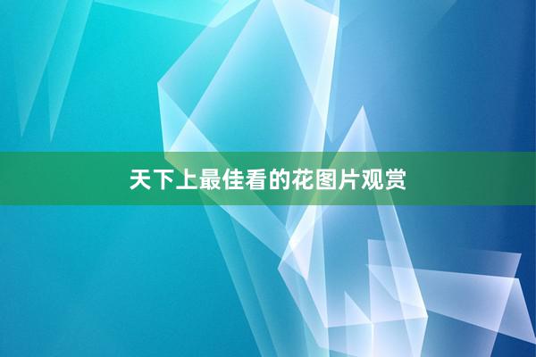 天下上最佳看的花图片观赏